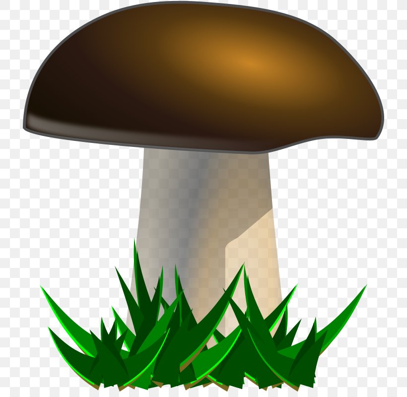 Mushroom Fungus Clip Art, PNG, 728x800px, Mushroom, Drawing, Fungus, Green, Leaf Download Free