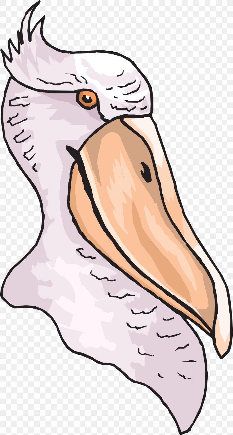 Bird Beak Clip Art, PNG, 1030x1920px, Watercolor, Cartoon, Flower, Frame, Heart Download Free