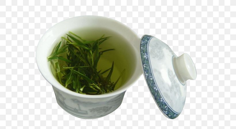 Green Tea Drinking Health, PNG, 600x450px, Tea, Blood, Diet, Disease, Drink Download Free