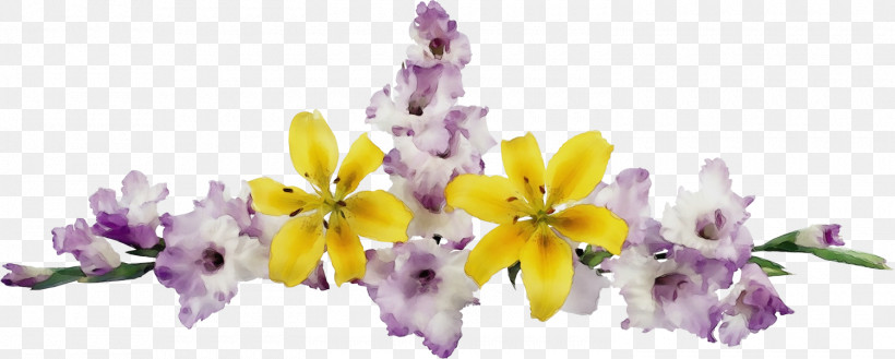 Lavender, PNG, 1500x602px, Flower Border, Cut Flowers, Floral Line, Flower, Flower Background Download Free