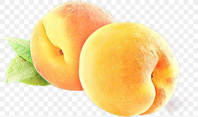 Mango Cartoon, PNG, 2829x1672px, Peach, Apple, Apricot, Asian Pear, Cherries Download Free