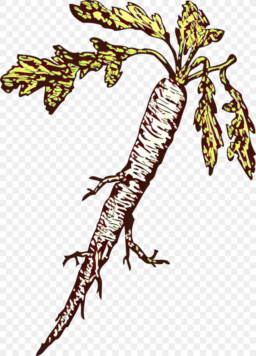 Plant Leaf Tree, PNG, 1381x1920px, Plant, Leaf, Tree Download Free