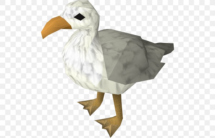 RuneScape Bird Gulls Goose Duck, PNG, 508x528px, Runescape, Animal, Beak, Bird, Duck Download Free