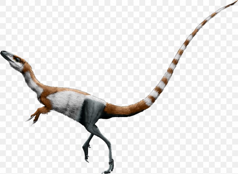 Sinosauropteryx Falcarius Conchoraptor Bird Daspletosaurus, PNG, 965x709px, Sinosauropteryx, Animal Figure, Bird, Compsognathidae, Conchoraptor Download Free