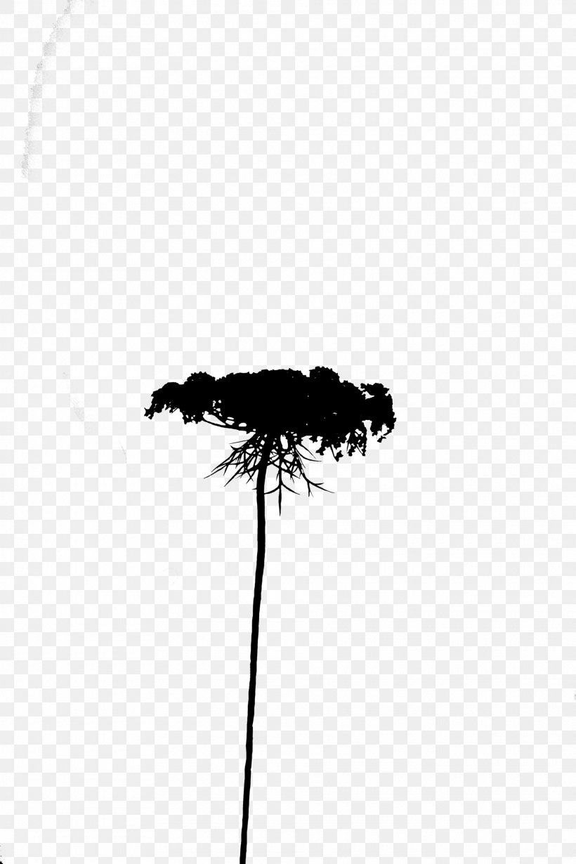 Tree Silhouette Sky Black M, PNG, 1920x2880px, Tree, Black, Black M, Blackandwhite, Branch Download Free