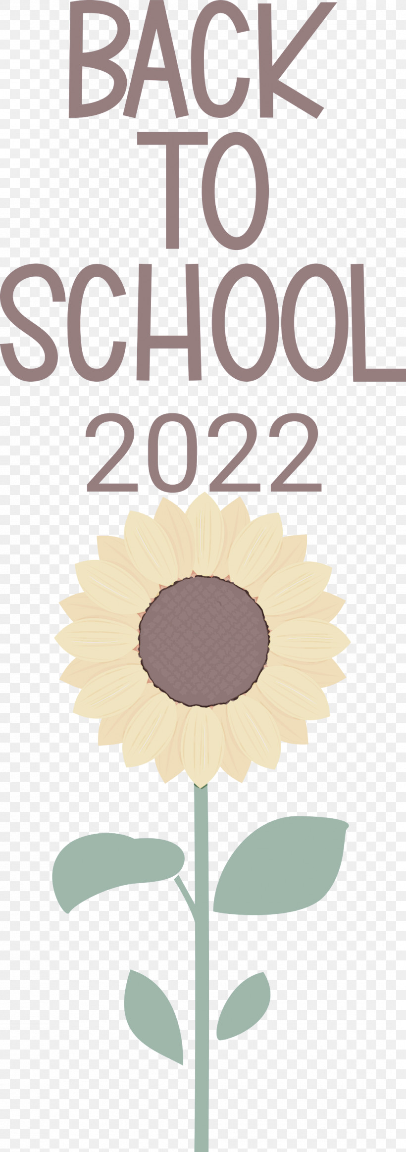 Back To School 2022, PNG, 1057x3000px, Poster, Flower, Meter Download Free