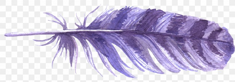 Feather, PNG, 2933x1025px, Feather, Blue, Purple, Violet Download Free