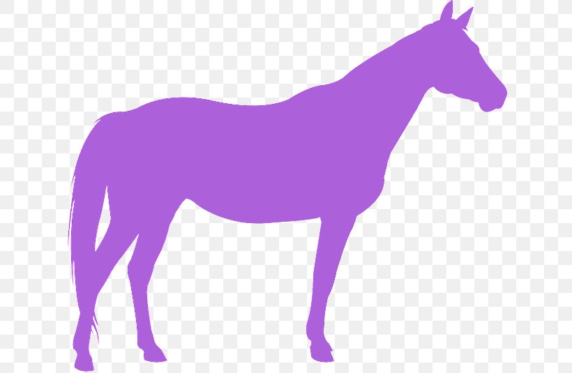 Purple Violet Horse Mane Mare, PNG, 640x535px, Purple, Animal Figure, Horse, Mane, Mare Download Free