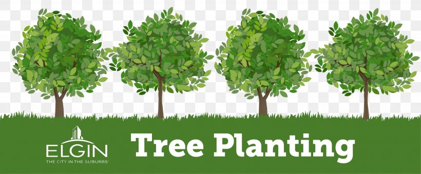 Tree Planting Photography, PNG, 1956x811px, Tree Planting, Agriculture, Biome, Branch, Ecosystem Download Free