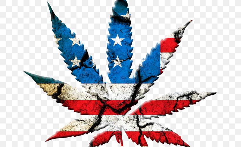 United States Medical Cannabis Cannabis Shop Legalization, PNG, 800x500px, United States, Beak, Bong, Cannabidiol, Cannabis Download Free