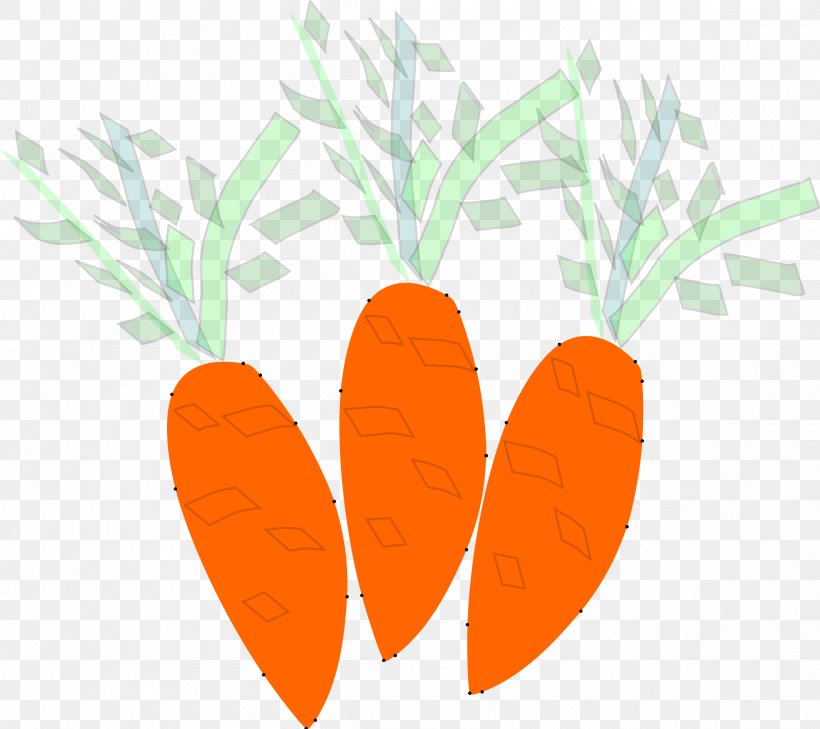 Carrot Food Vegetable, PNG, 2400x2134px, Carrot, Color, Eating, Food, Fruit Download Free