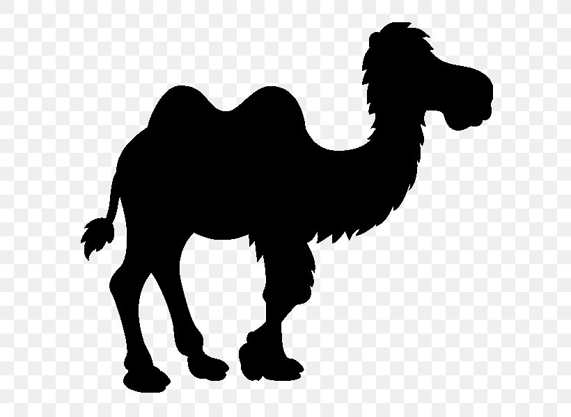 Dromedary Mustang Black & White, PNG, 600x600px, Dromedary, Animal, Animal Figure, Arabian Camel, Bactrian Camel Download Free