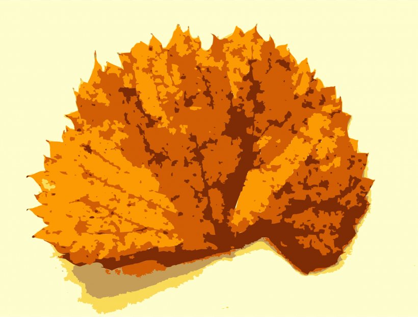 Missouri Autumn Tree Leaf, PNG, 2400x1822px, Missouri, Amber Liu, Anthemis, Autumn, Color Download Free