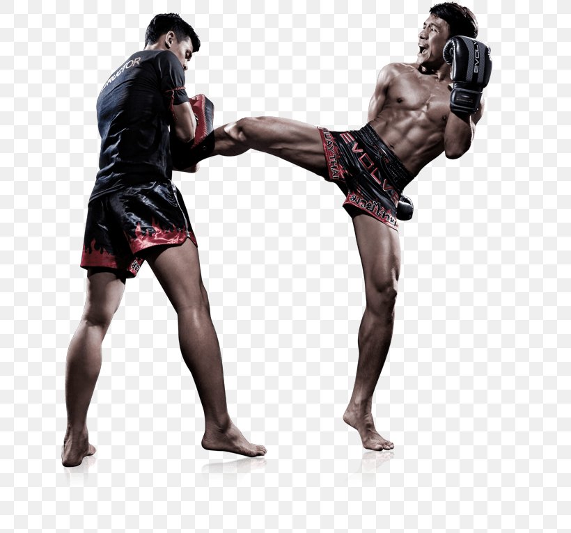 Muay Thai Mixed Martial Arts Evolve MMA Kickboxing, PNG, 650x766px, Muay Thai, Aggression, Boxing, Boxing Equipment, Boxing Glove Download Free