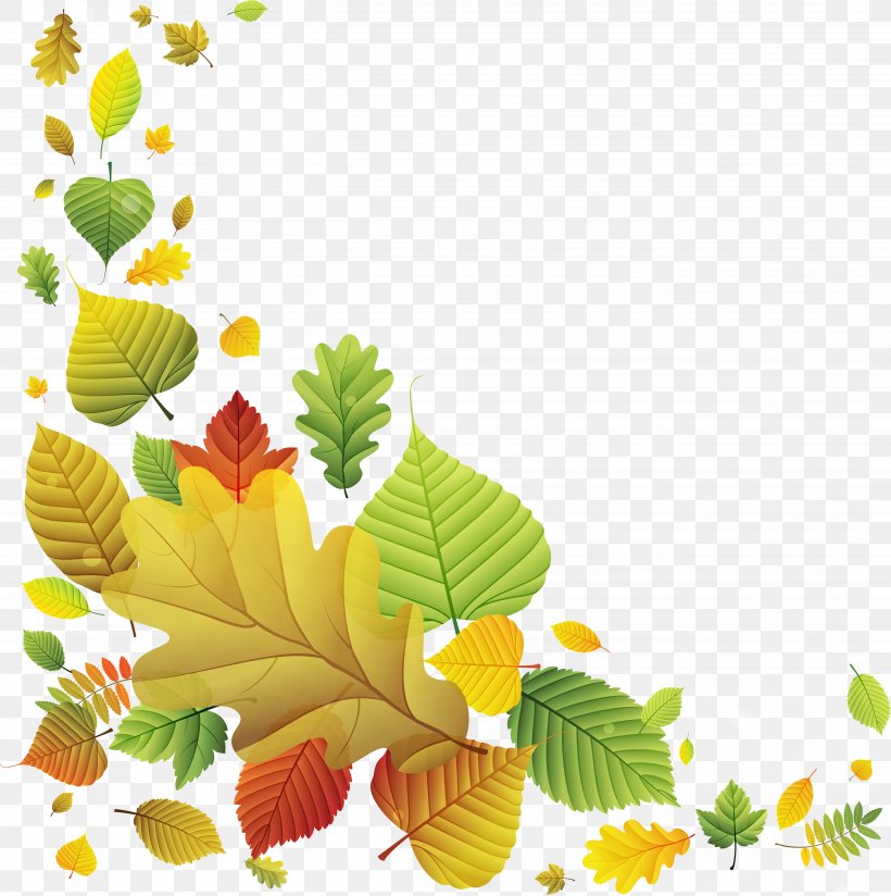 Clip Art Psd Image Adobe Photoshop, PNG, 5383x5414px, Leaf, Autumn, Branch, Drawing, Flora Download Free