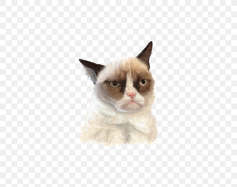 Whiskers Grumpy Cat Domestic Short-haired Cat Felidae, PNG, 650x650px, Whiskers, Boo, Carnivoran, Cat, Cat Like Mammal Download Free
