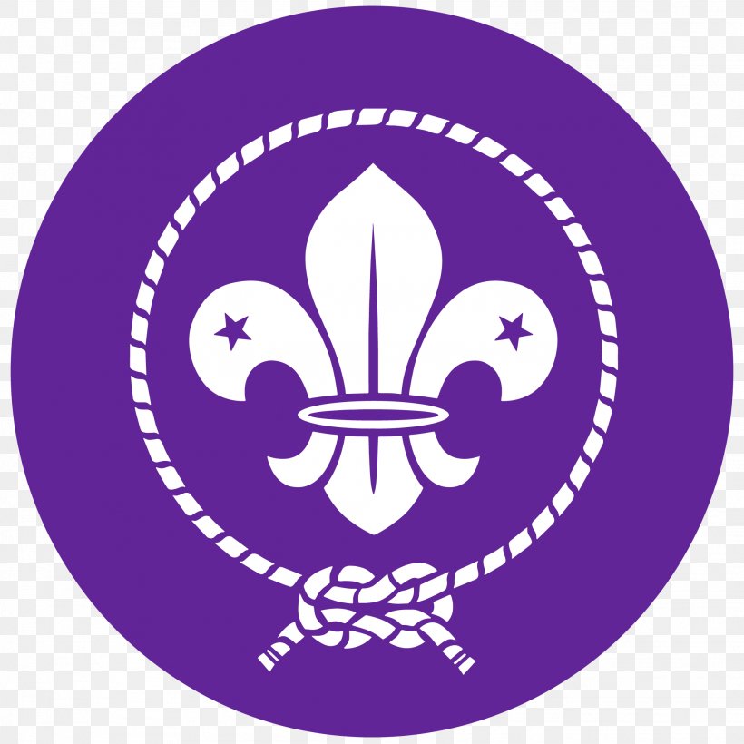 World Organization Of The Scout Movement World Scout Jamboree Scouting Boy Scouts Of America, PNG, 2084x2084px, World Scout Jamboree, Boy Scouts Of America, Cub Scout, Logo, Organization Download Free