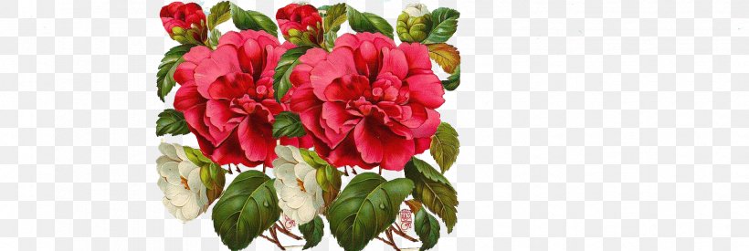 Garden Roses Flower Bouquet, PNG, 1788x600px, Garden Roses, Artificial Flower, Chart, Computer Network, Cut Flowers Download Free