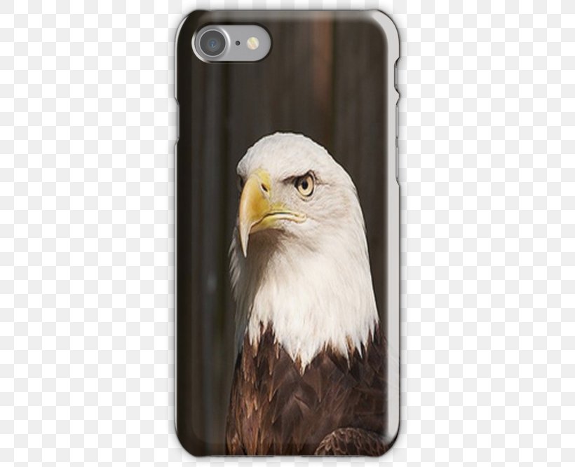 IPhone 6 Plus Apple IPhone 7 Plus Clothing, PNG, 500x667px, Iphone 6, Accipitriformes, Apple, Apple Iphone 7 Plus, Bald Eagle Download Free