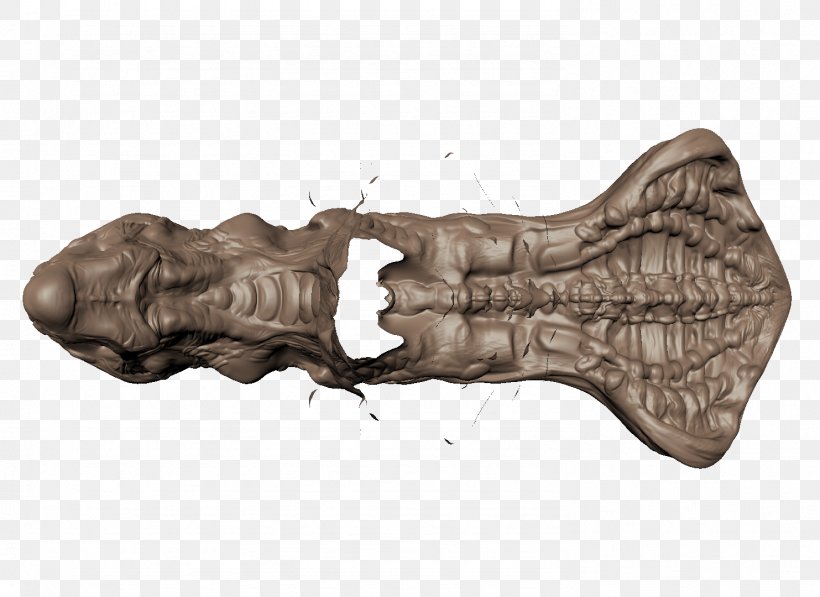 Wood Bone /m/083vt, PNG, 1483x1080px, Wood, Bone, Jaw Download Free