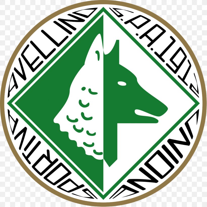 A.S. Avellino 1912 Serie B A.S. Bari F.C. Pro Vercelli 1892, PNG, 1024x1024px, Avellino, Andrea Caracciolo, Area, Artwork, As Avellino 1912 Download Free