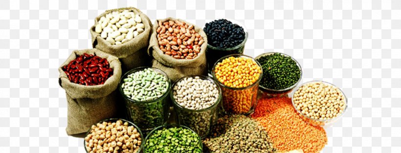 Five Grains Nutrient Nutrition Whole Grain Flour, PNG, 1020x390px, Five Grains, Cactus, Commodity, Dietary Fiber, Dietitian Download Free