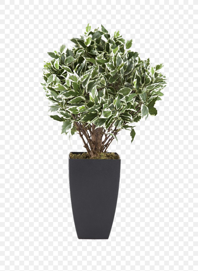 Flowerpot Houseplant Euclidean Vector Tree, PNG, 749x1123px, Plant, Bonsai, Designer, Flowerpot, Herb Download Free