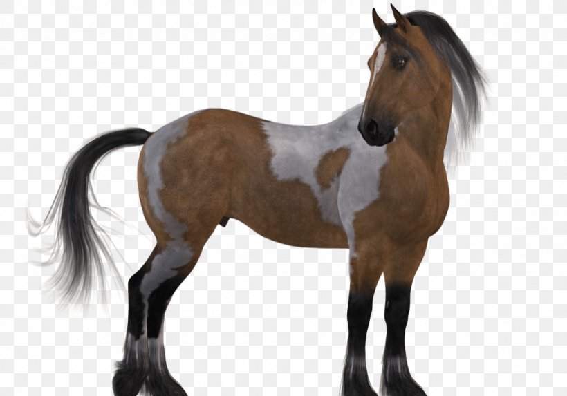 Mustang Horse Stallion Foal Pony, PNG, 1024x716px, Mustang, American Paint Horse, Animal Figure, Colt, Equestrian Download Free