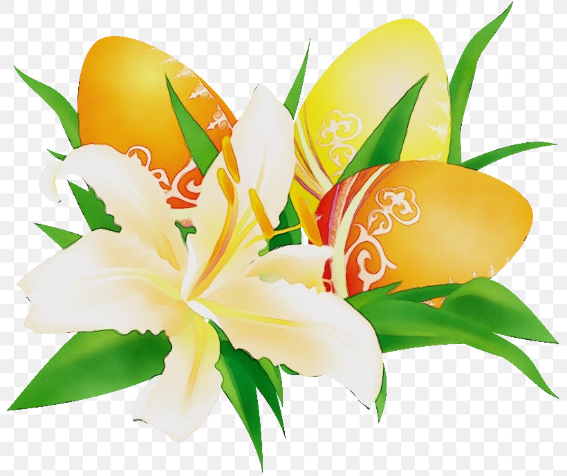 Flower Plant Yellow Lily Petal, PNG, 800x689px, Watercolor, Cut Flowers, Flower, Lily, Lily Family Download Free