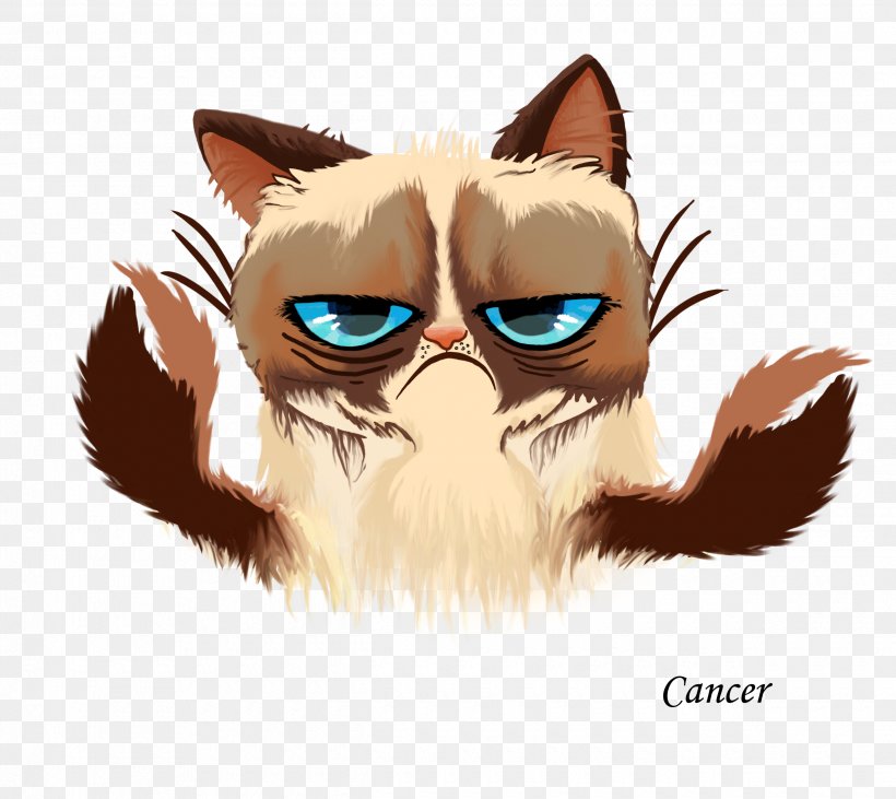 Grumpy Cat Kitten Cats And The Internet, PNG, 2480x2212px, Watercolor, Cartoon, Flower, Frame, Heart Download Free