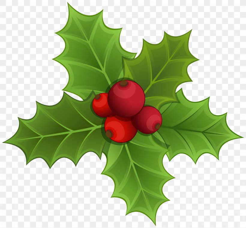 Mistletoe Christmas Clip Art, PNG, 6185x5746px, Common Holly, Aquifoliaceae, Aquifoliales, Berry, Blog Download Free
