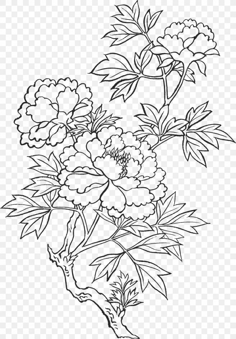 Peony Drawing Art Sketch, PNG, 1114x1600px, Peony, Area, Art, Black And White, Branch Download Free