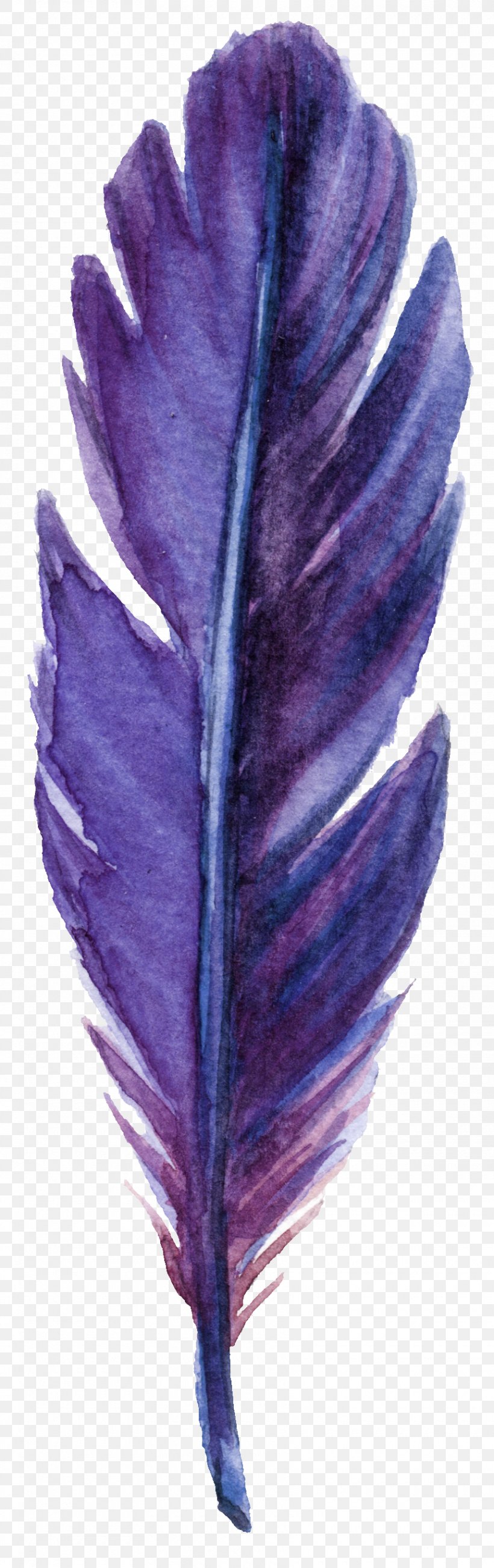 Feather Purple Leaf Green, PNG, 860x2724px, Feather, Color, Creativity, Designer, Flower Download Free