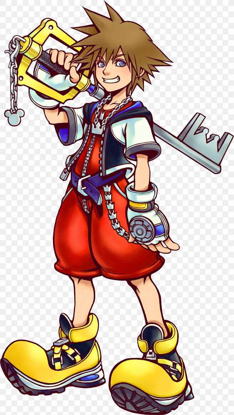 Kingdom Hearts III Kingdom Hearts Birth By Sleep Kingdom Hearts: Chain Of Memories, PNG, 1546x2737px, Watercolor, Cartoon, Flower, Frame, Heart Download Free
