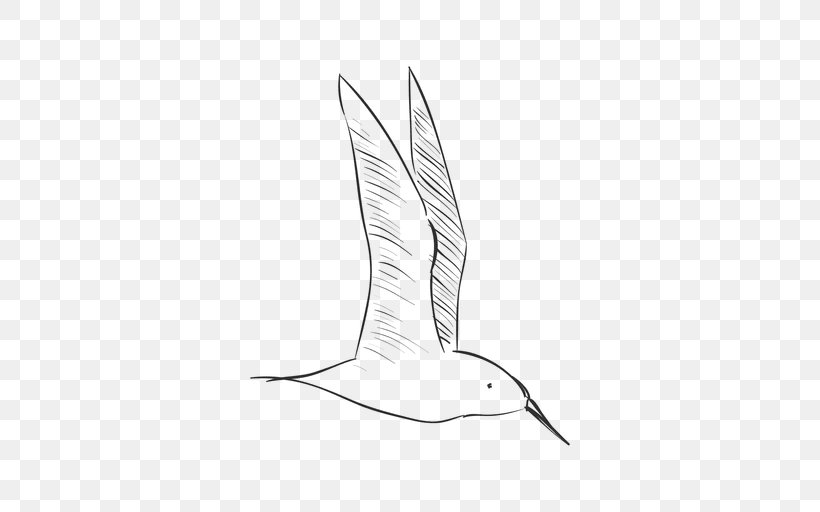 Bird Drawing, PNG, 512x512px, Bird, Anatidae, Artwork, Beak, Black And White Download Free