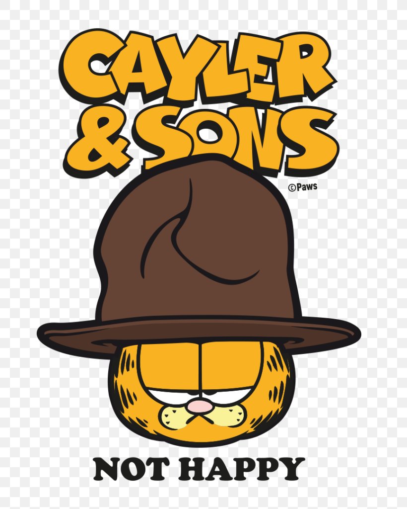 Garfield Son Culture Grumpy Cat Cartoon, PNG, 673x1024px, Watercolor, Cartoon, Flower, Frame, Heart Download Free