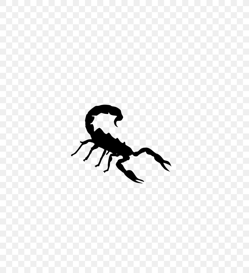 Scorpion Clip Art, PNG, 637x900px, Scorpion, Arachnid, Black, Black And White, Drawing Download Free