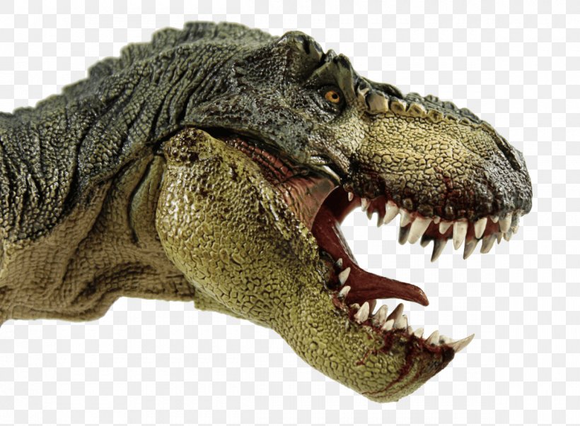 Tyrannosaurus Albertosaurus Dinosaur Pachycephalosaurus Reptile, PNG, 1200x883px, Tyrannosaurus, Albertosaurus, Crocodile, Dinosaur, Feather Download Free