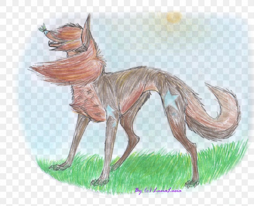 Dog Drawing /m/02csf Illustration Mammal, PNG, 900x732px, Dog, Canidae, Carnivoran, Dog Like Mammal, Drawing Download Free