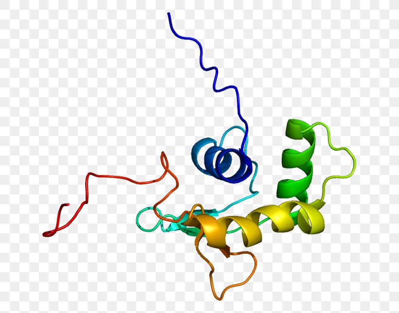 ELF5 Protein Gene UniProt P53, PNG, 695x644px, Protein, Area, Artwork, Cell, Gene Download Free