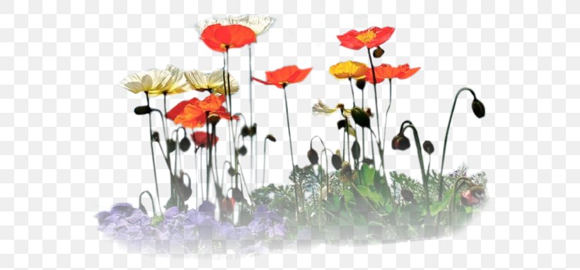 Floral Design Quotation Яндекс.Фотки Clip Art, PNG, 600x383px, Floral Design, Author, Crimea, Flora, Floristry Download Free