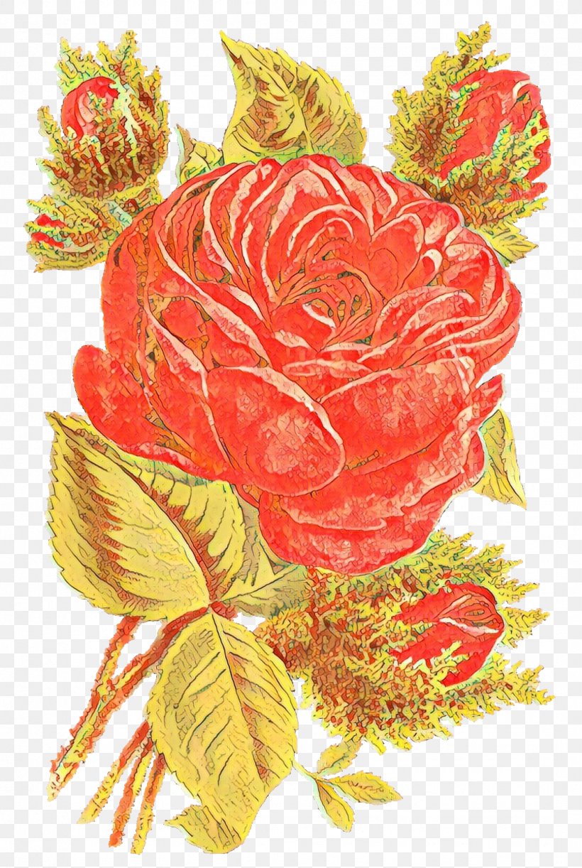 Garden Roses, PNG, 1073x1600px, Cartoon, Cut Flowers, Flower, Flowering Plant, Garden Roses Download Free