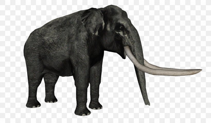 African Elephant Stegodon Florensis Flores Man Indian Elephant, PNG, 976x571px, African Elephant, Animal, Elephant, Elephantidae, Elephants And Mammoths Download Free