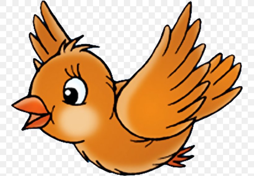 Beak Snout Cartoon Wildlife Clip Art, PNG, 750x568px, Beak, Artwork, Bird, Cartoon, Chicken Download Free
