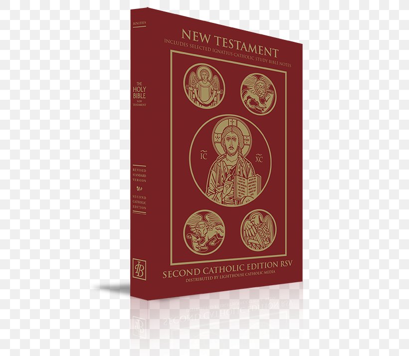 Catholic Bible Revised Standard Version Catholic Edition New Revised Standard Version, PNG, 500x714px, Catholic Bible, Bible, Bible Translations, Book, Catholicism Download Free