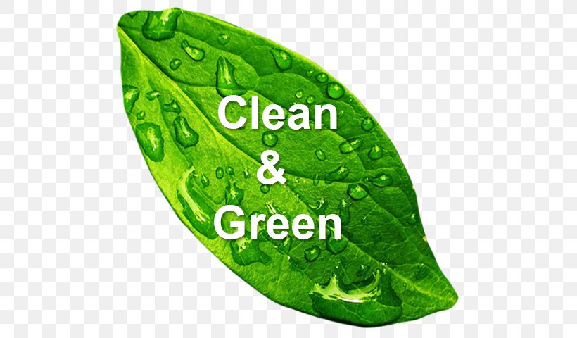 Green Cleaning Natural Environment Environmentally Friendly Cleaner, PNG, 525x480px, Green Cleaning, Car Wash, Cleaner, Cleaning, Cleaning Agent Download Free