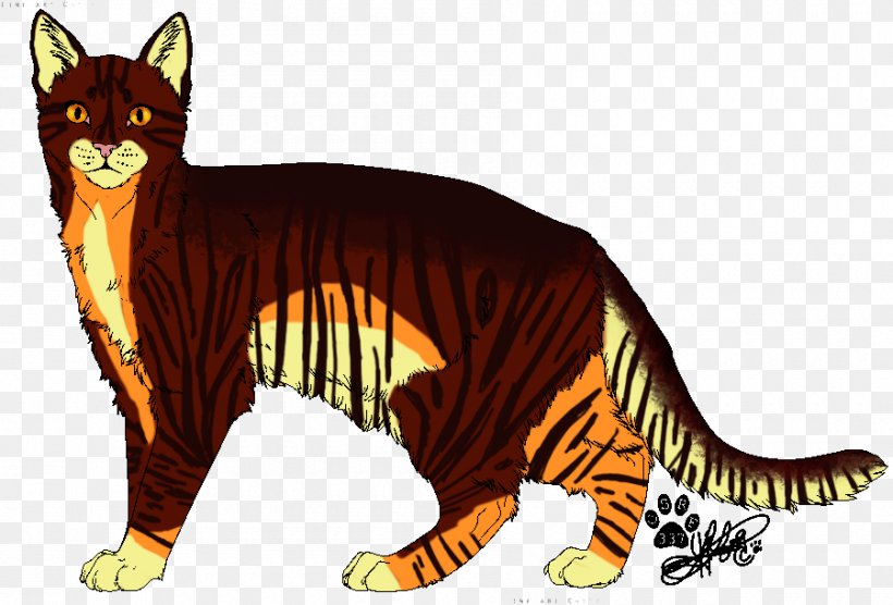 Whiskers Wildcat Tiger Red Fox, PNG, 900x611px, Whiskers, Big Cat, Big Cats, Canidae, Carnivoran Download Free