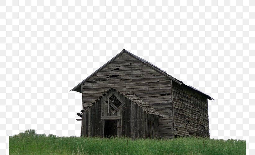 Barn House Grass Roof Shack, PNG, 763x500px, Barn, Building, Farm, Grass, Grassland Download Free