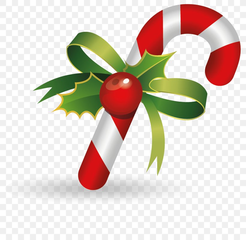 Candy Cane Santa Claus Christmas Clip Art, PNG, 800x800px, Candy Cane, Aquifoliaceae, Cane, Christmas, Christmas Ornament Download Free