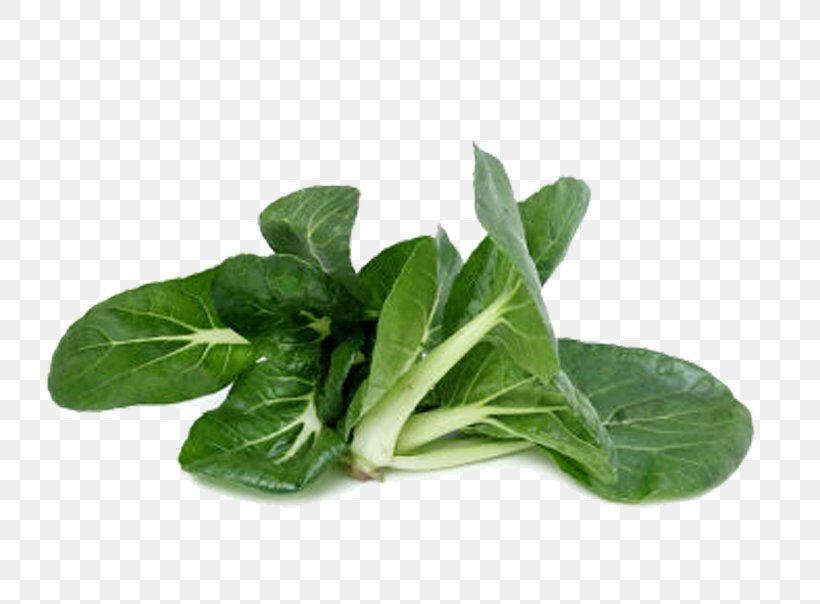 Choy Sum Spring Greens Chard Napa Cabbage Vegetable, PNG, 742x604px, Choy Sum, Bok Choy, Cabbage, Chard, Chinese Cabbage Download Free